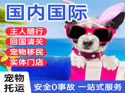 惠州平潭机场快运国际宠物托运 【国